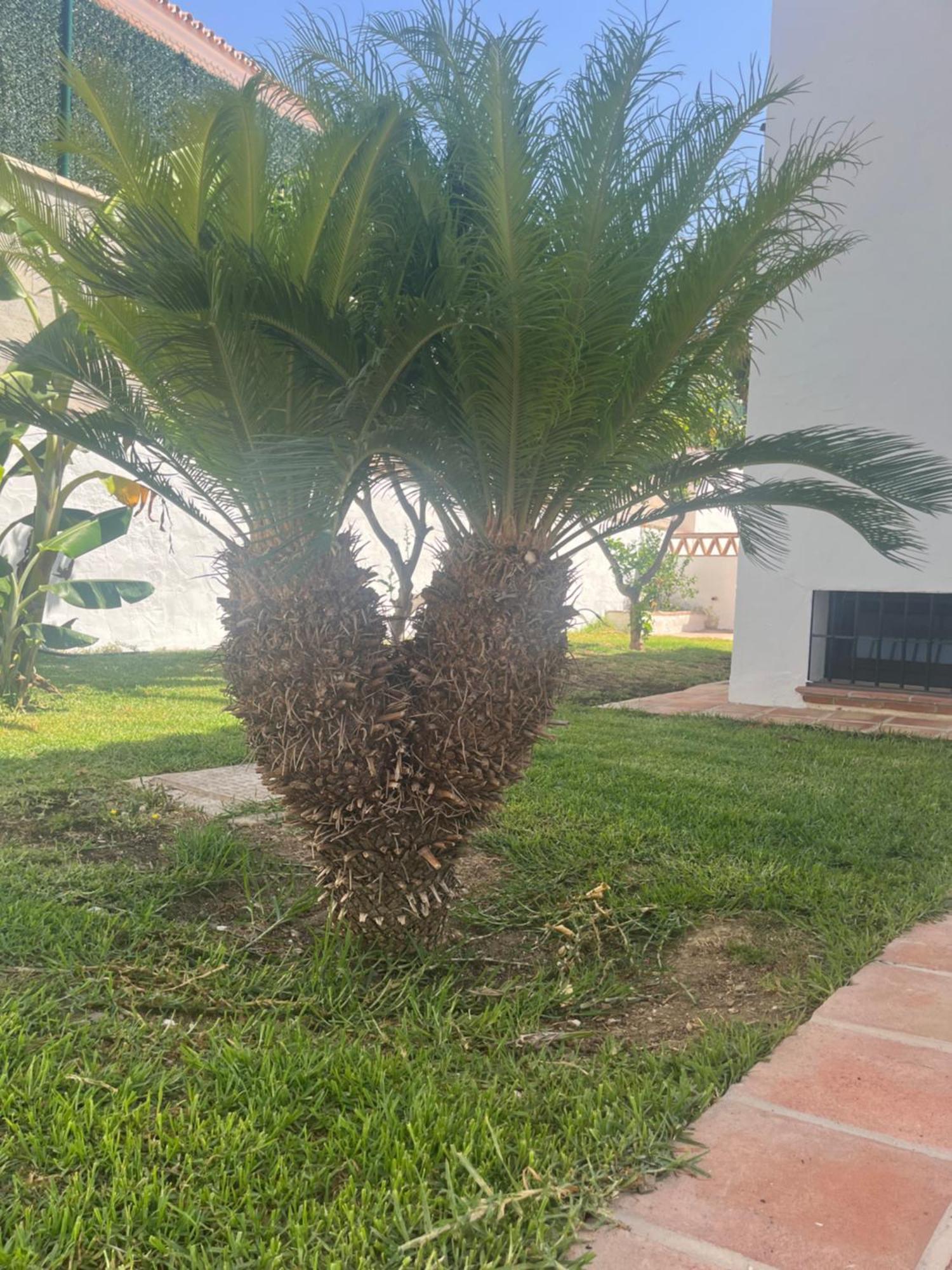 Villa Espiga Benalmádena Exterior foto